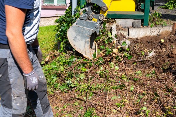 Hedge Removal Service in Rocklin