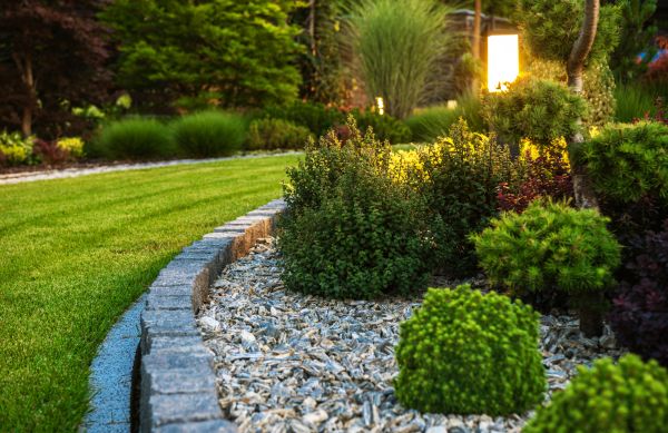 Bush Relocation in Rocklin