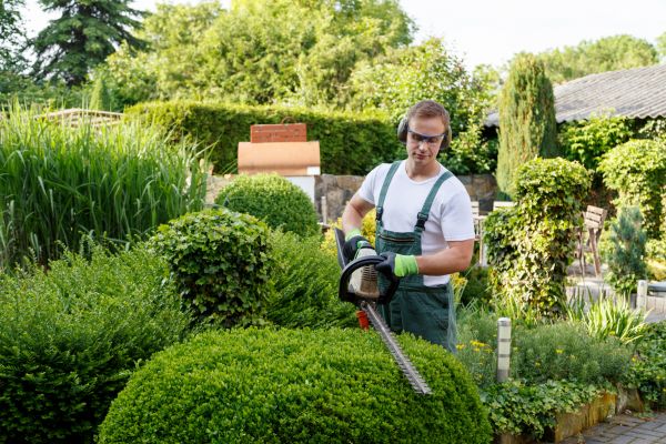 Shrubs Trimming in Rocklin