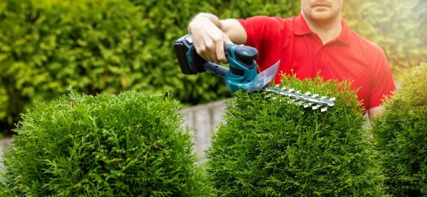 Hedge Shaping Service in Rocklin