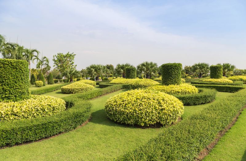 Trimmed Shrubs with Clear Lines